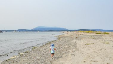 Sidney Spit