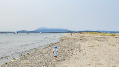 Sidney Spit