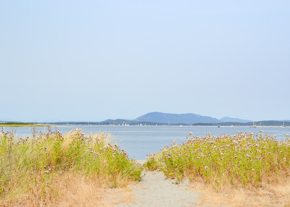 Sidney Spit Campground