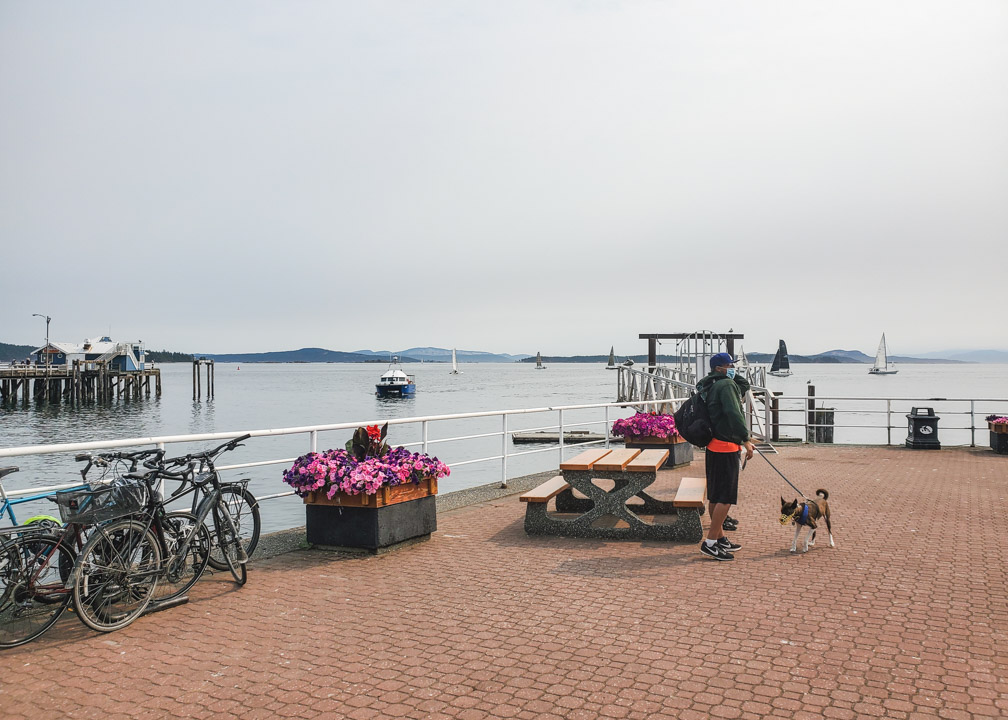 Sidney Spit Ferry Dock