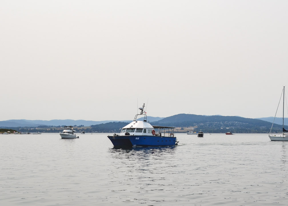 Sidney Spit Ferry