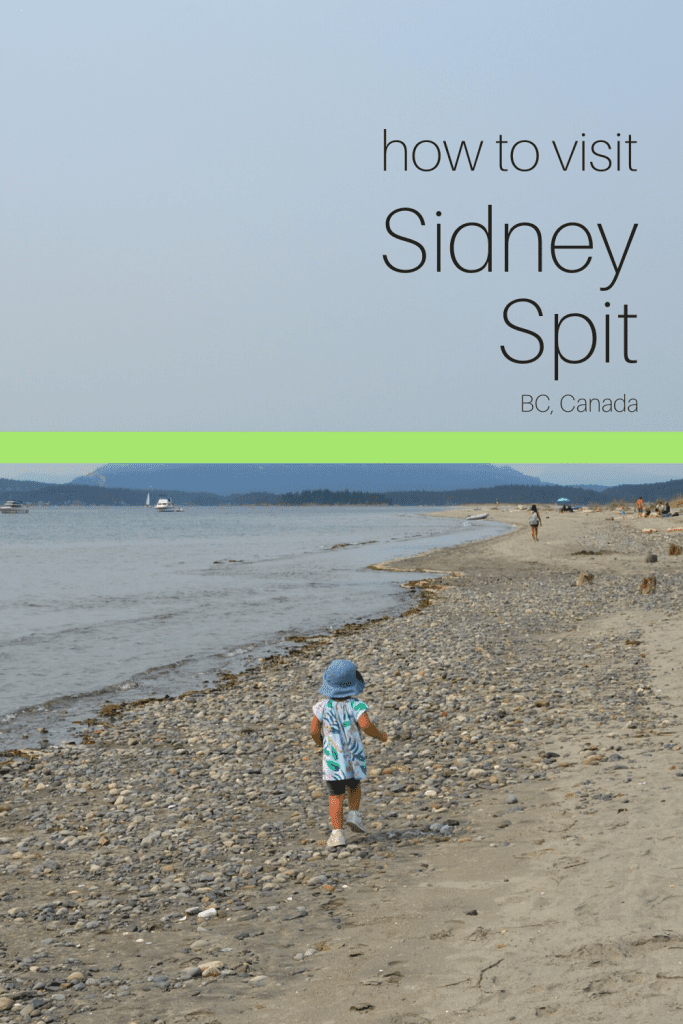 Sidney Spit, known for its beautiful sandy beaches, is an easy day trip from Victoria. Here's all you need to know to plan a visit!