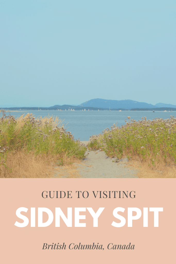 Sidney Spit, known for its beautiful sandy beaches, is an easy day trip from Victoria. Here's all you need to know to plan a visit!