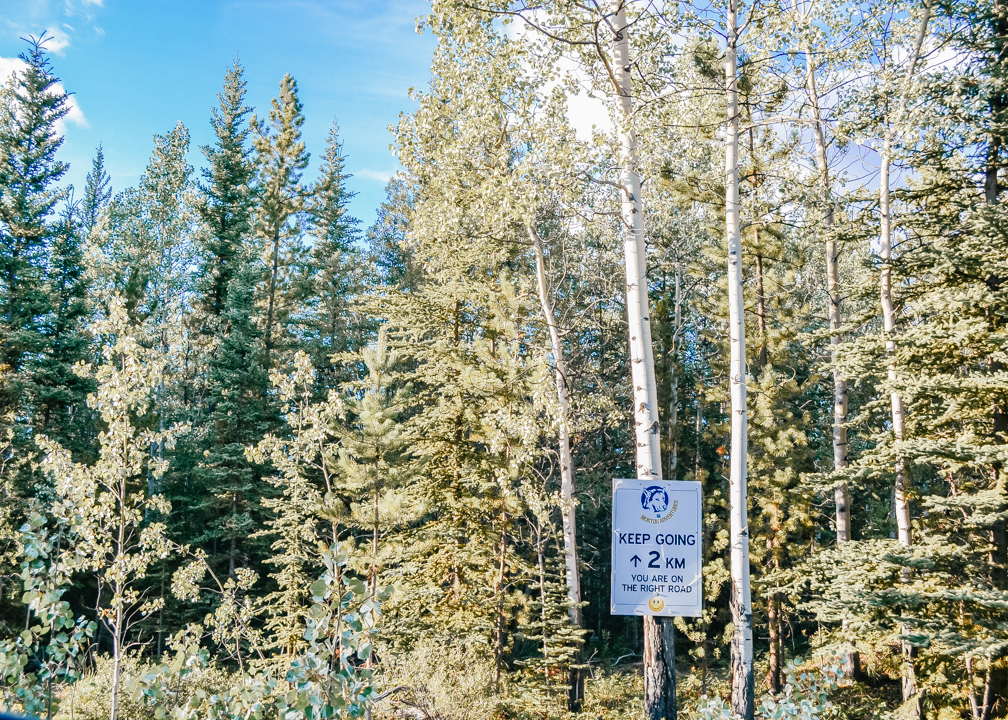 Muktuk Adventures Road Sign