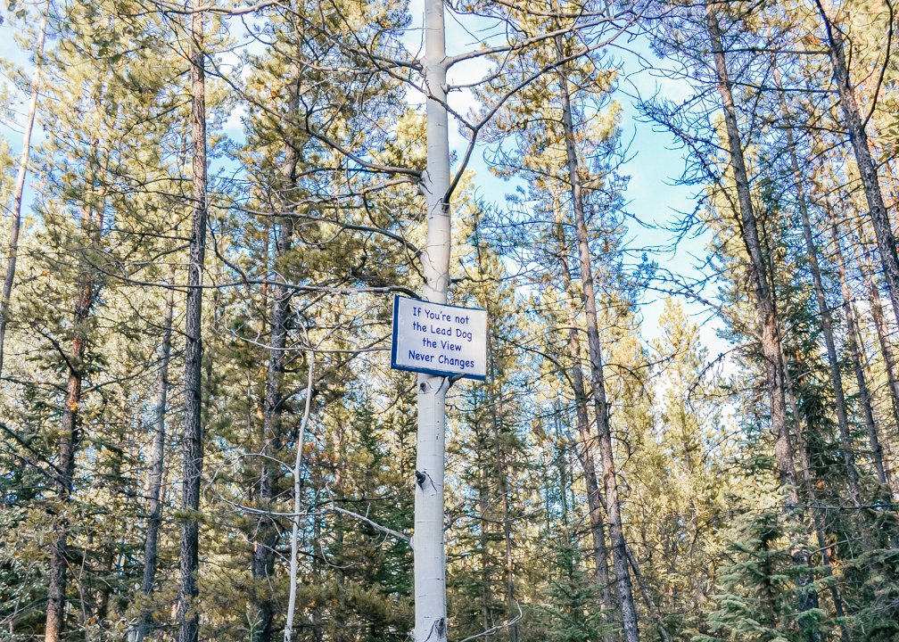 Muktuk Adventures Road Sign