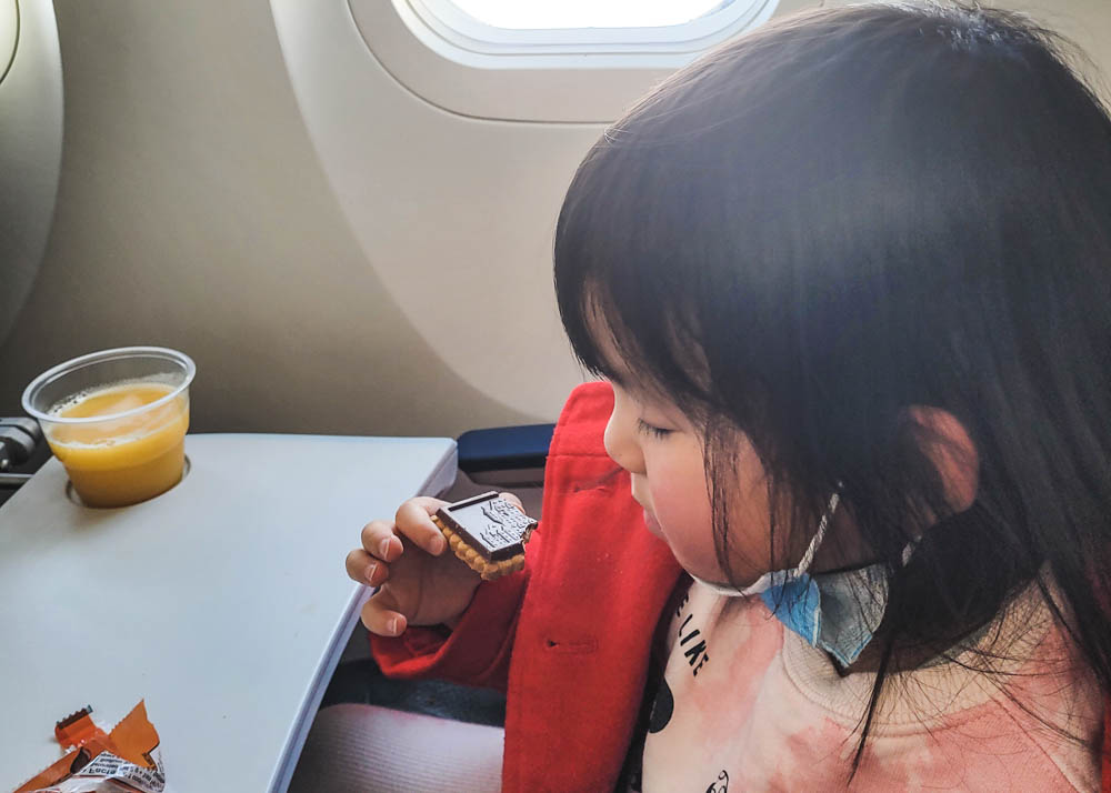 Airplane snacks for 3 year old