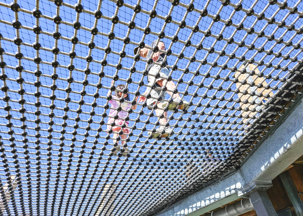 Malahat SkyWalk Adventure Net from Below