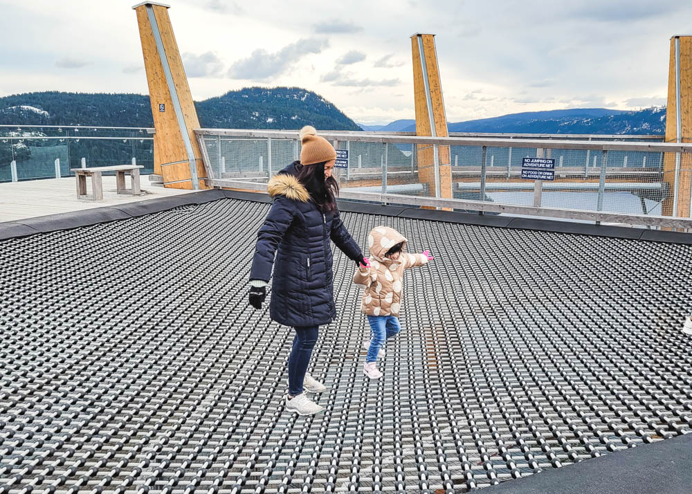 Malahat SkyWalk Adventure Net in Winter