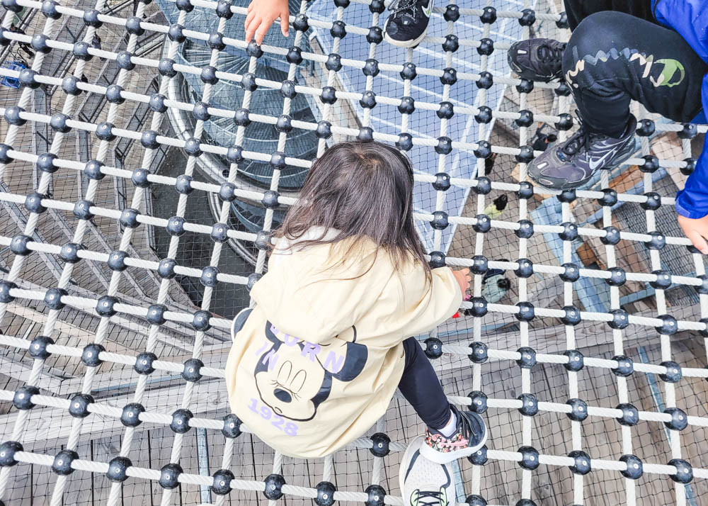 Malahat SkyWalk Adventure Net