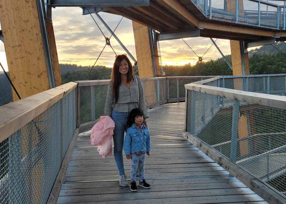 Malahat SkyWalk Easy Walk up Tower