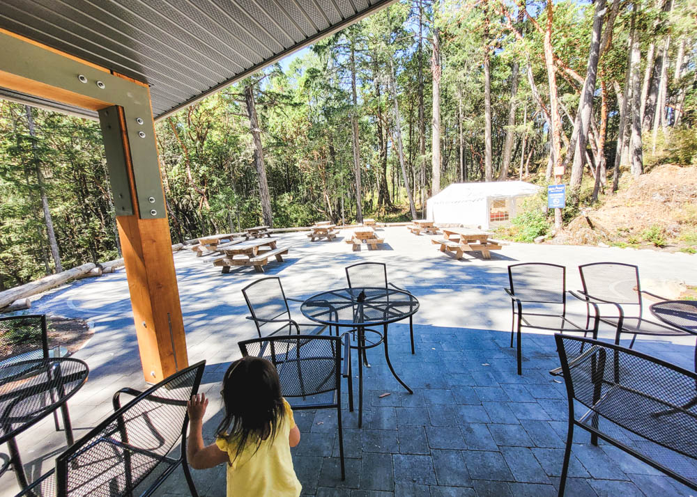 Malahat SkyWalk Outdoor Seating Area