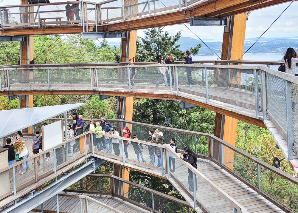 Malahat SkyWalk Slide Line Up