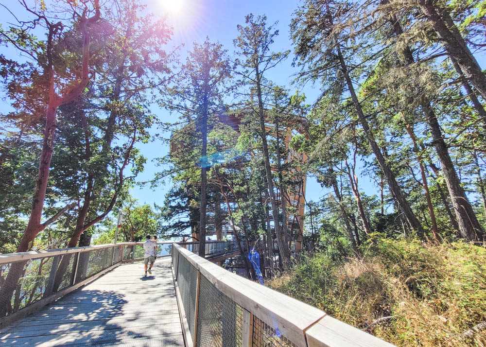 Malahat SkyWalk Tower 2