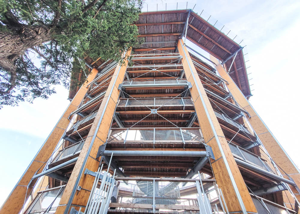 Malahat SkyWalk Tower View from Bottom