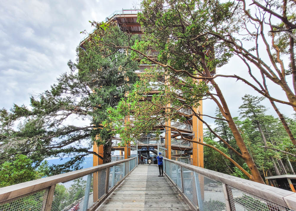 Malahat SkyWalk Tower