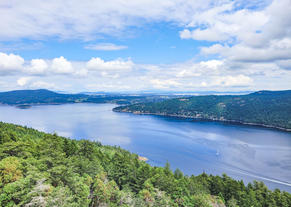 Malahat SkyWalk View