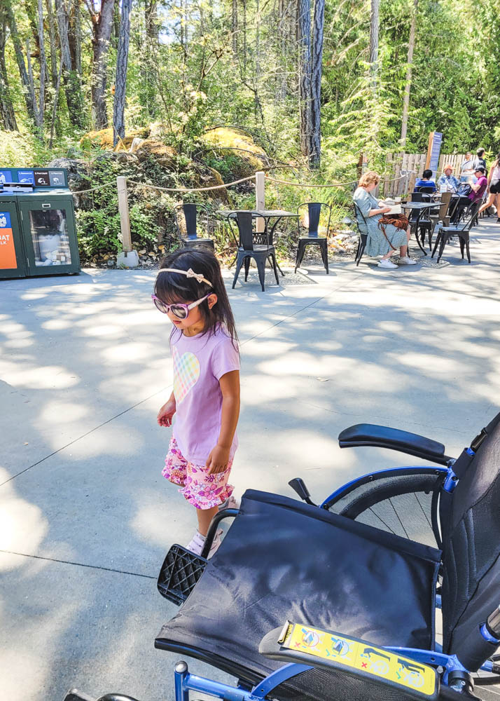 Malahat SkyWalk Wheelchair