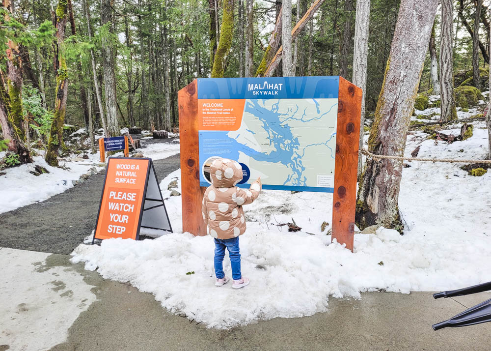 Malahat SkyWalk in Snow