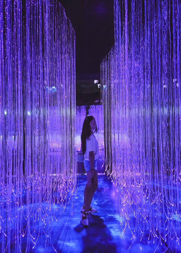 Cloud Forest Light Installation