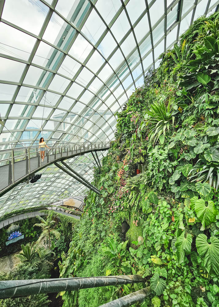 Cloud Forest Singapore in two days