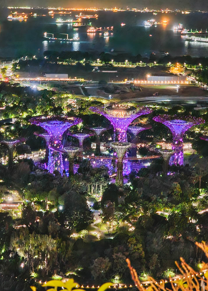 Garden Rhapsody View from Marina Bay Sands Hotel