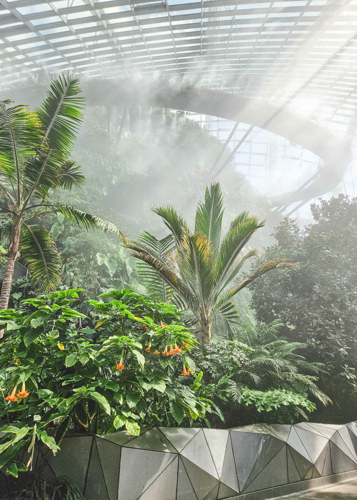 Misting time at Cloud Forest