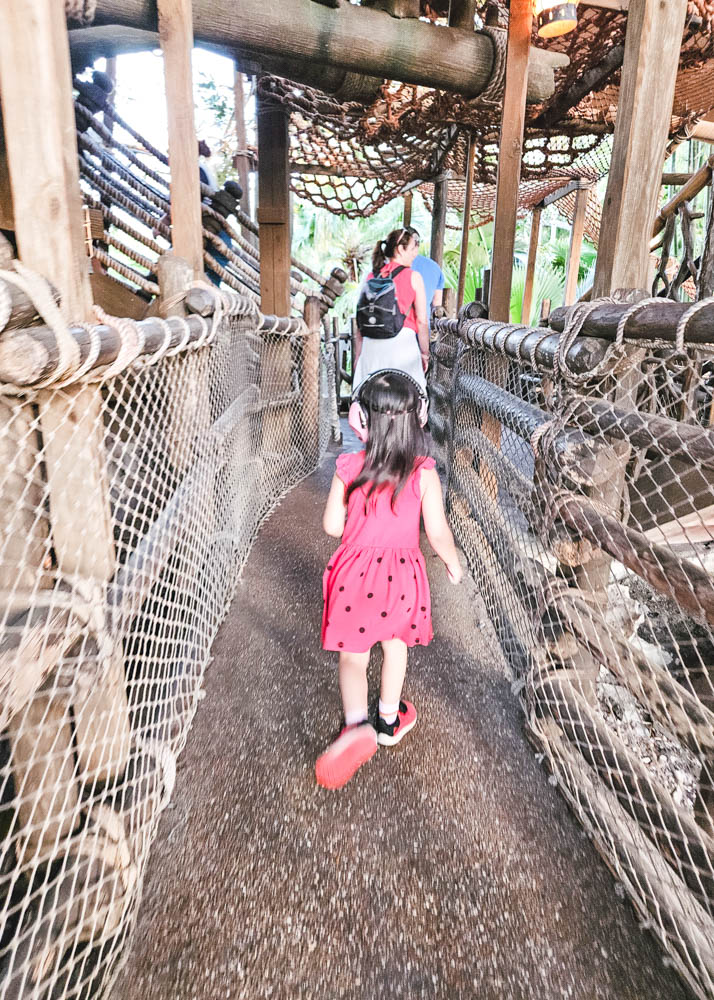 Exploring Swiss Family Treehouse Magic Kingdom 1-Day Itinerary