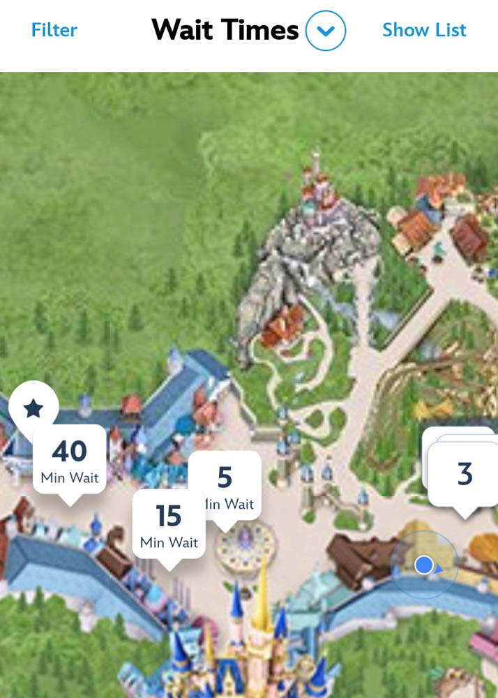 Magic Kingdom Wait Times at Opening