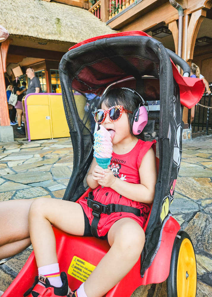 Disney World Stroller Rental for SPD child