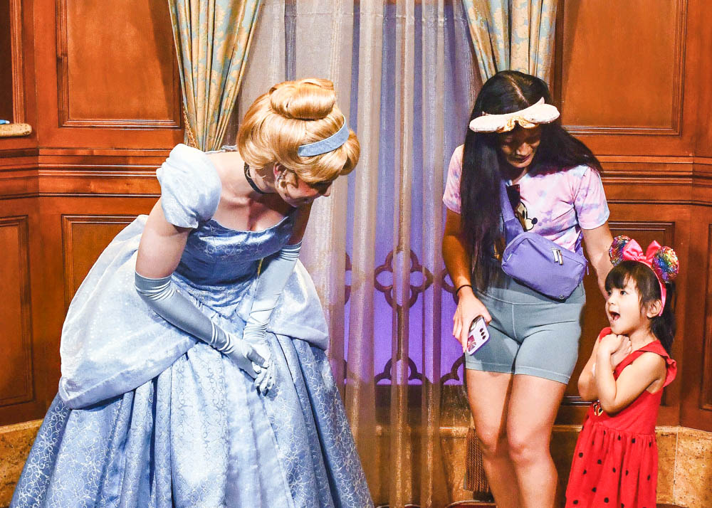 SPD Child meeting Cinderella at Disney World