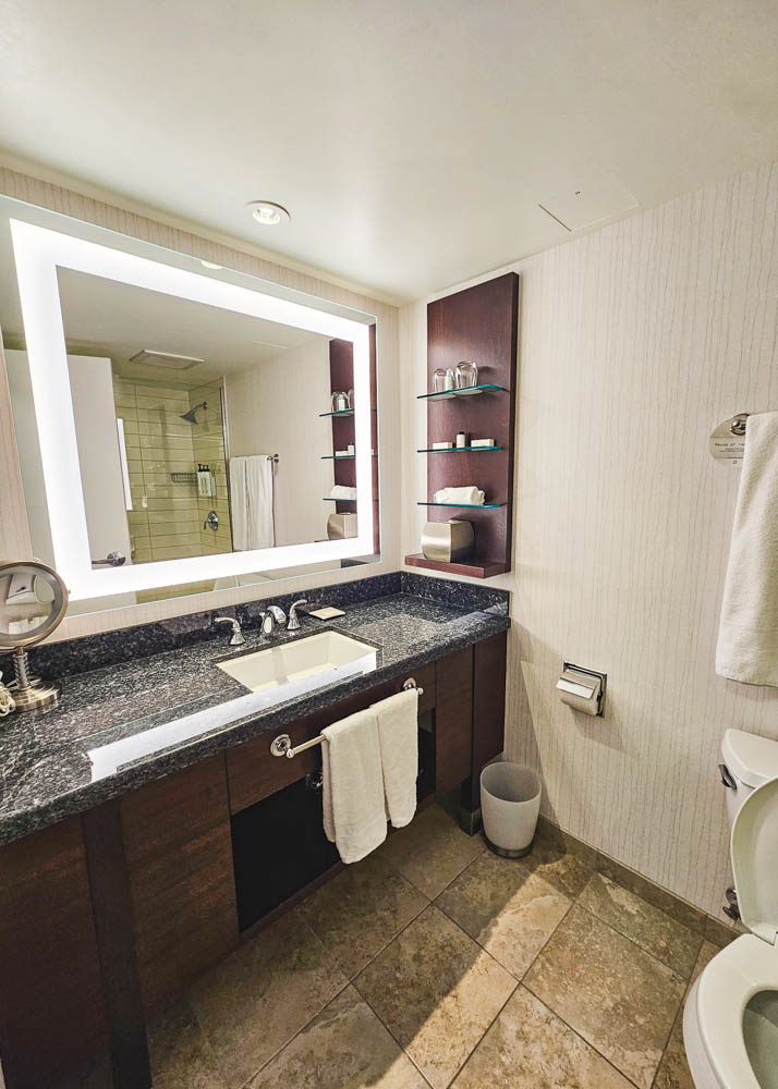 Delta Hotels Burnaby Conference Centre Bathroom