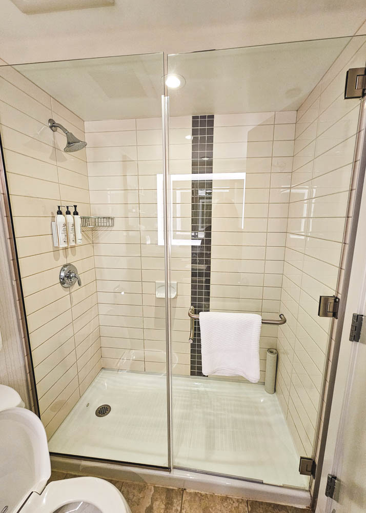 Delta Hotels Burnaby Conference Centre Shower
