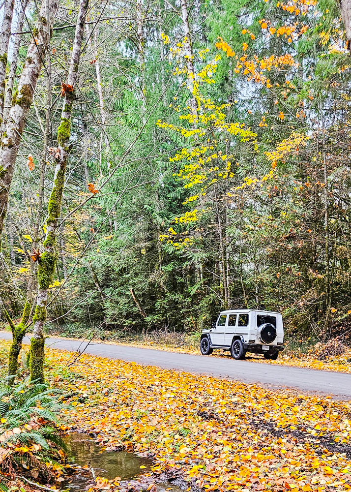 Turo Unique Rental
