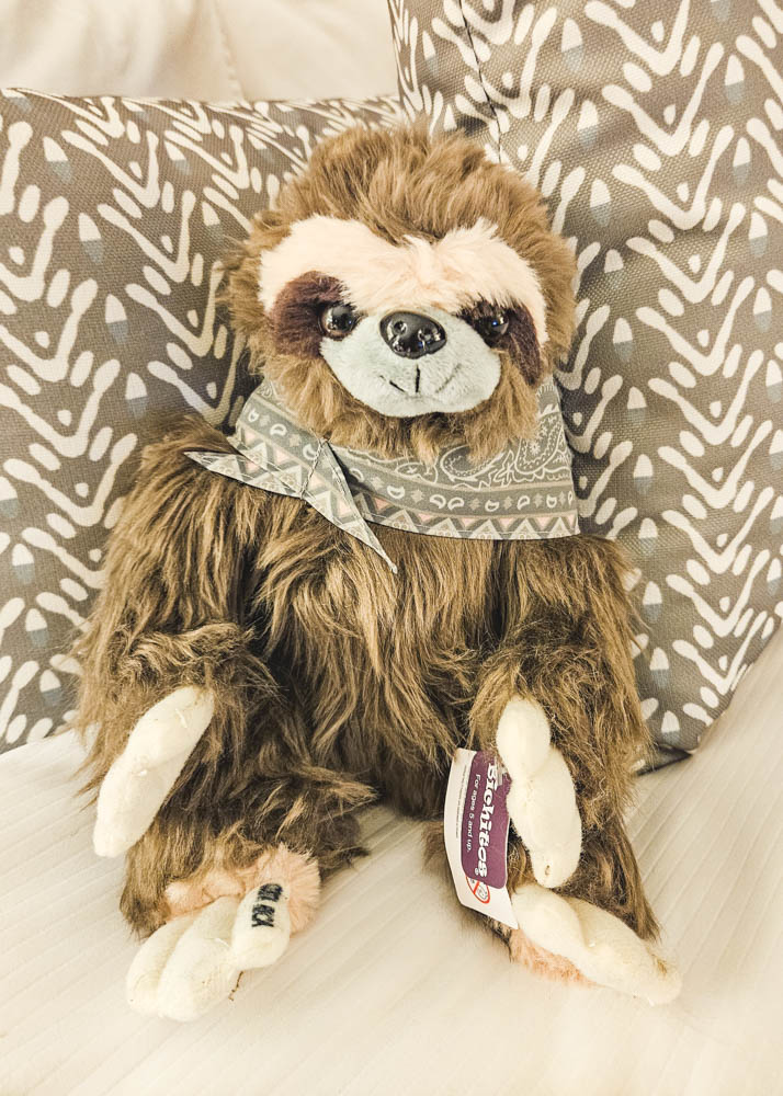 JW Marriott Guanacaste Sloth