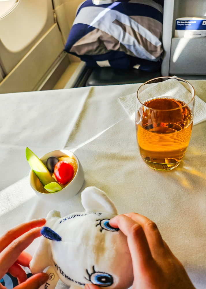 Lufthansa 747 Business Class Kids Appetizer