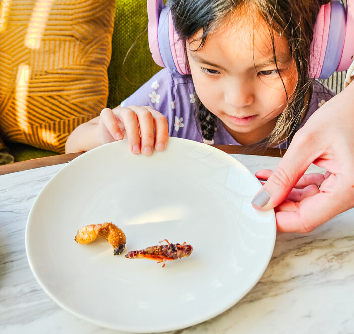Andaz One Bangkok Fried Bugs