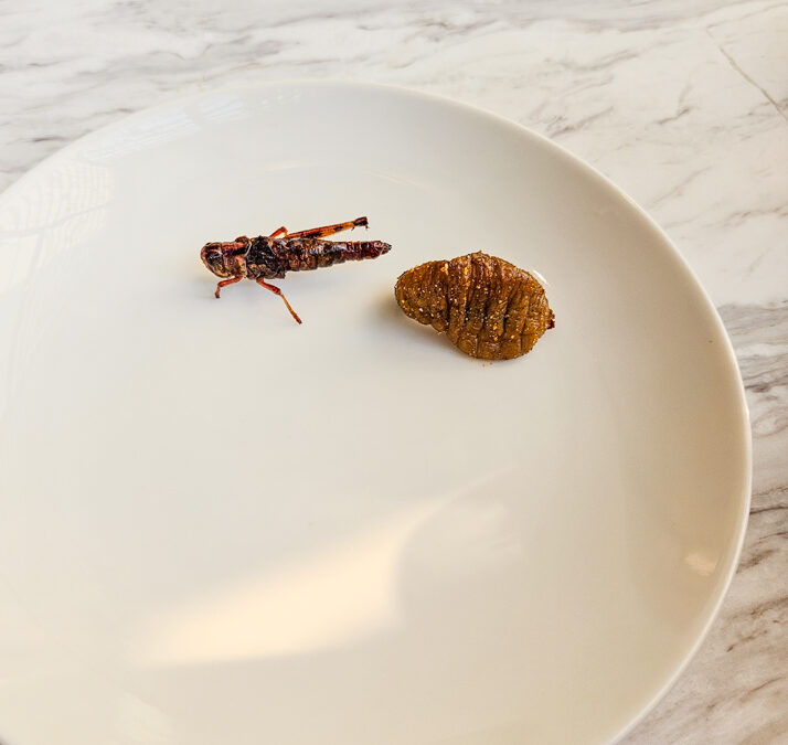 Andaz One Bangkok Fried Bugs Happy Hour