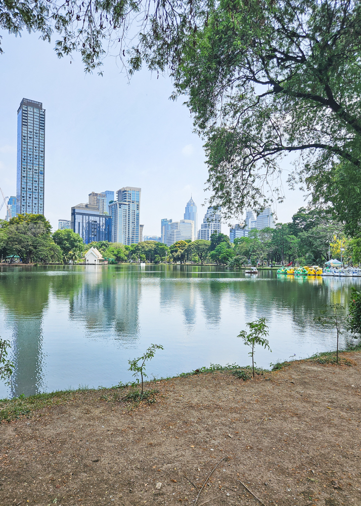 Lumphini Park Swan Boats