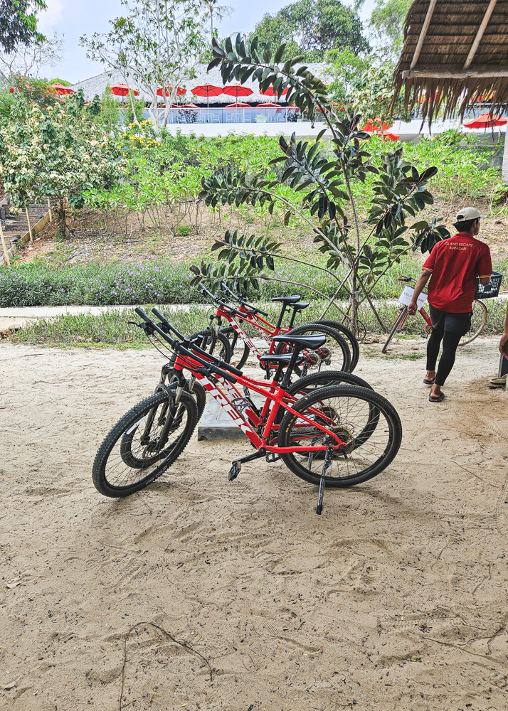 Island Escape by Burasari Bicycle Rental
