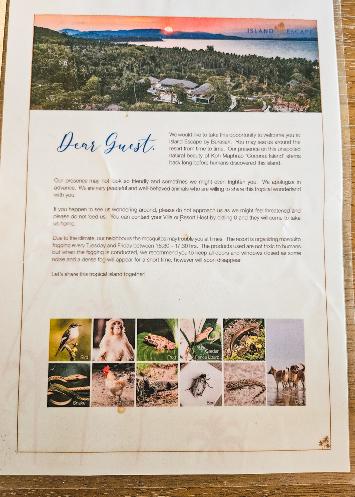 Island Escape by Burasari Wildlife Notice