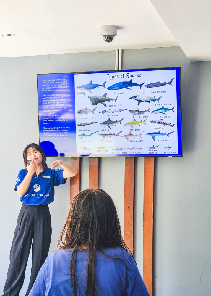 JW Marriott Khao Lak Bamboo Shark Education