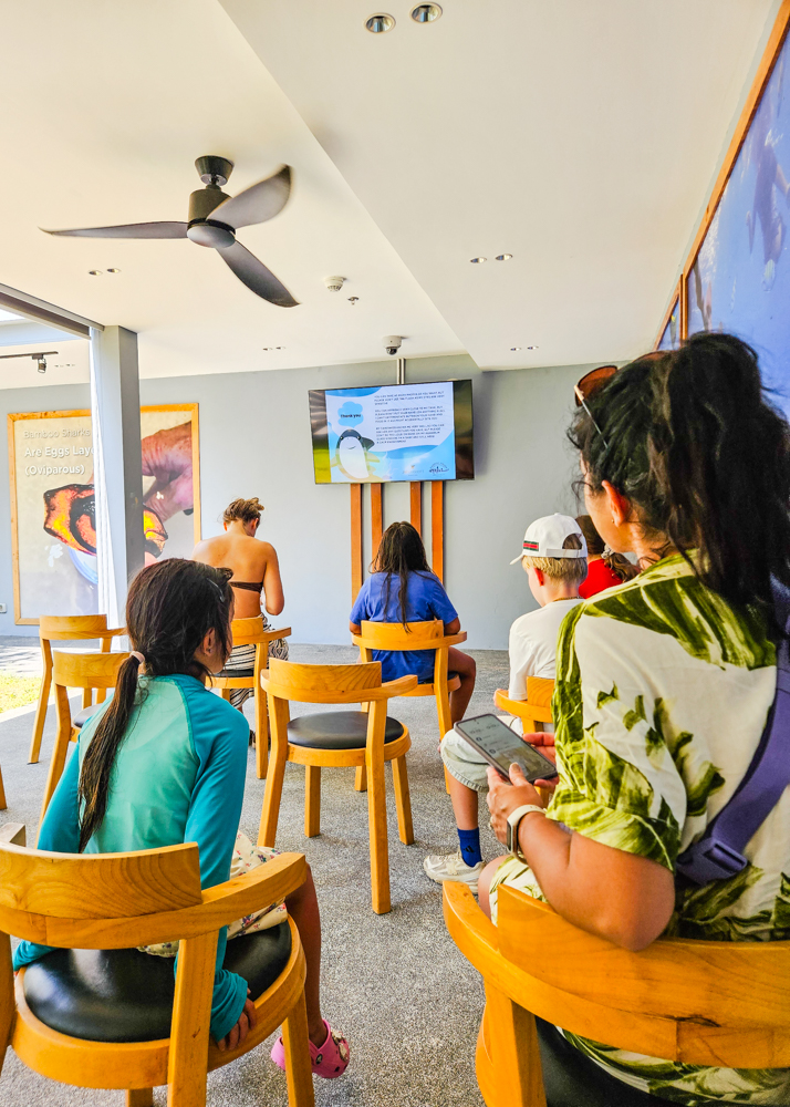 JW Marriott Khao Lak Bamboo Shark Nursery Educational Program
