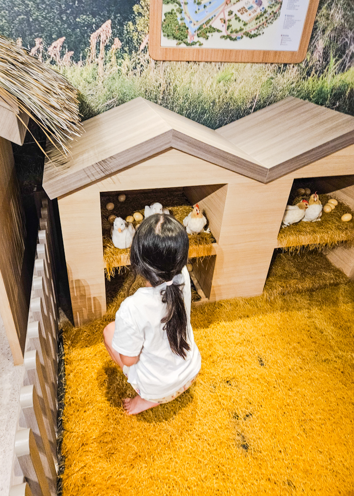 JW Marriott Khao Lak Kids Club Play Farm